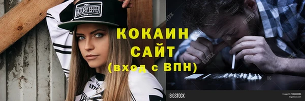 Альфа ПВП Бородино