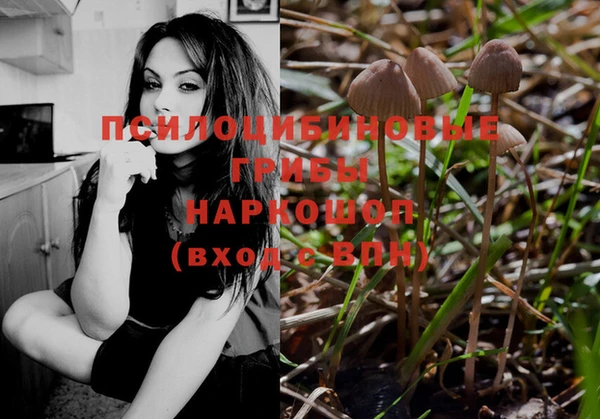 трава Бугульма