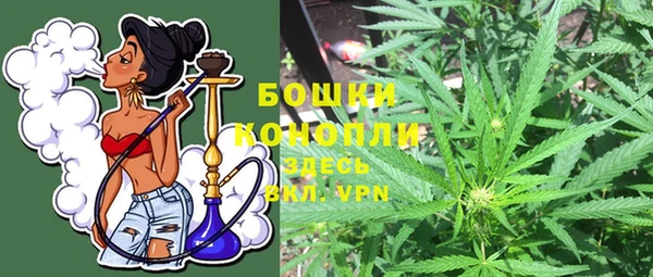 Альфа ПВП Бородино