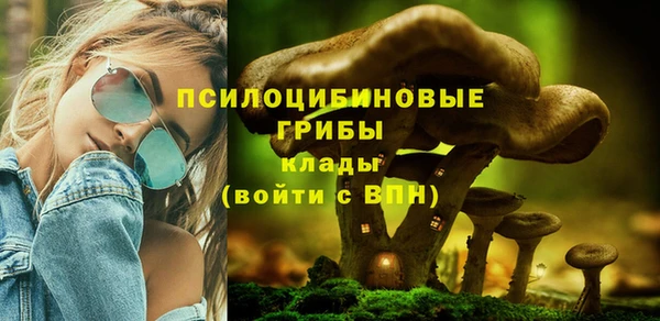 трава Бугульма