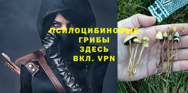 трава Бугульма