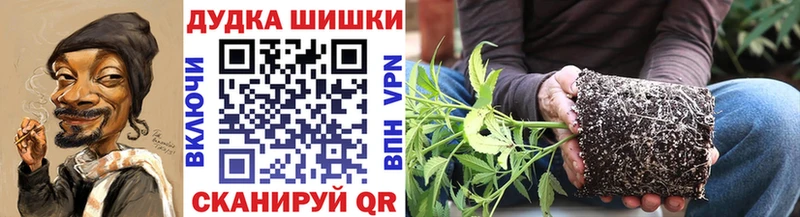 Каннабис индика Дагестанские Огни